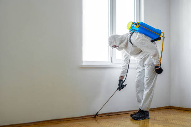 Best Pest Removal Services  in Salem, OR