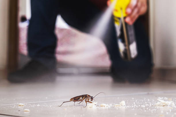 Best Flea Control Services  in Salem, OR