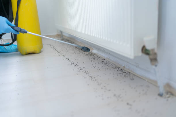 Best Best Pest Control Companies  in Salem, OR