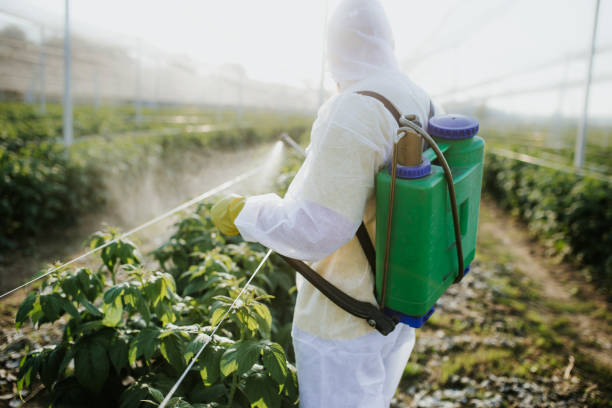 Salem, OR Pest Control Company